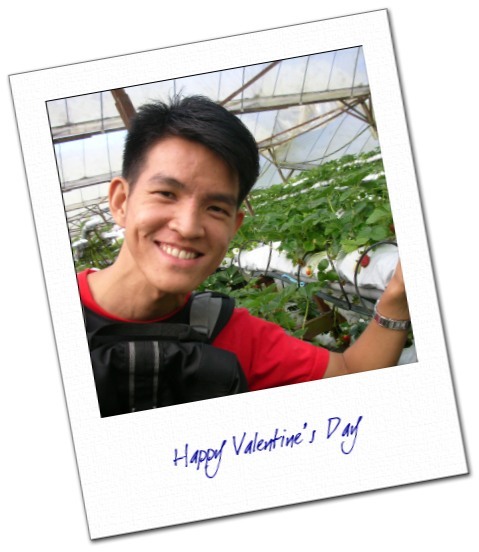 seng-lee_strawberry2.jpg