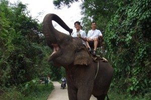 elephant rider the jungle house 02 300x200 The Elephant Rider (Korat   Thailand)